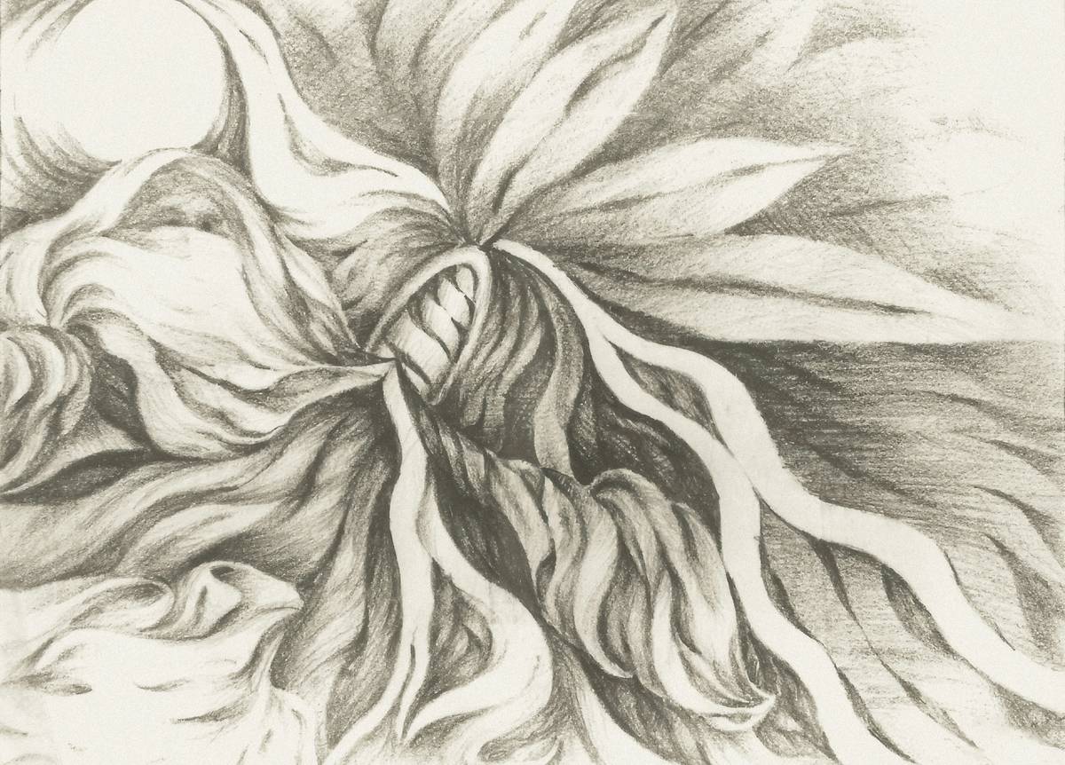 How to Master Pencil Drawing Sketch Easy Techniques (Even If You’ve Never Held a Pencil Before)